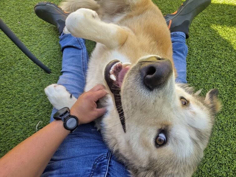 September 2025 Newsletter