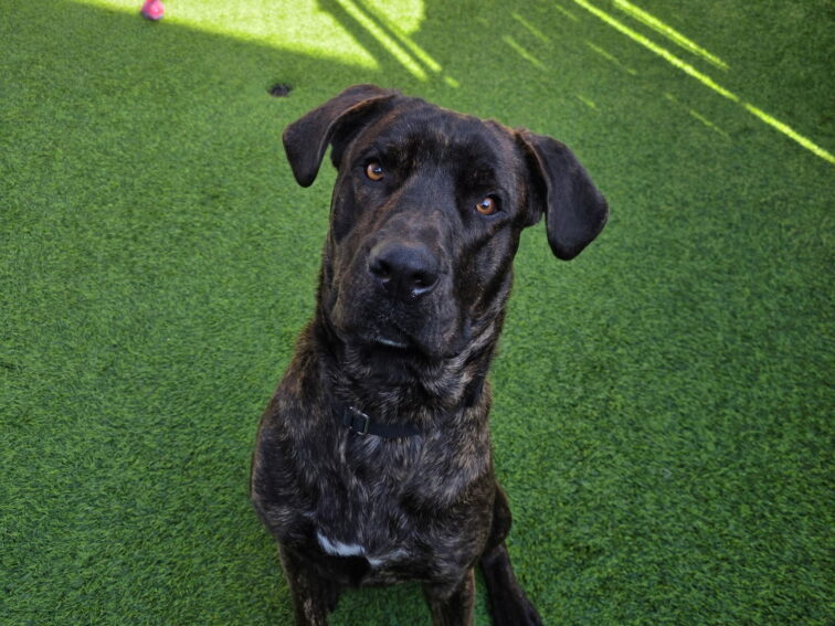 November 2025 Newsletter