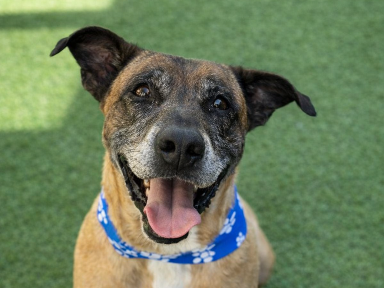 March 2026 Newsletter